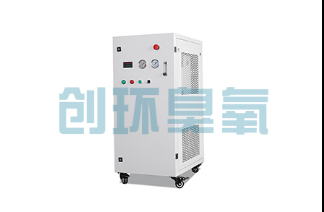 卢龙工厂化养鲈必看:2026年臭氧发生器替代传统消毒的最新方案