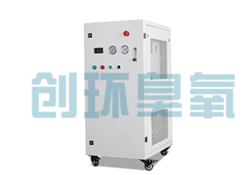 卢龙石斑鱼养殖水质调控完整指南:臭氧发生器配置与操作步骤