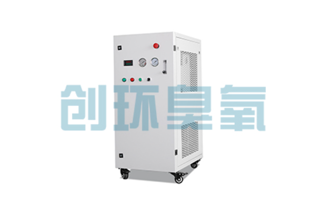 卢龙比传统换水更高效?臭氧发生器在石斑鱼养殖中的水质净化原理解析